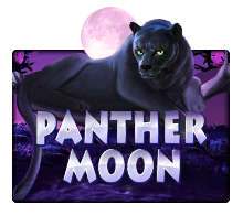 918Kiss Panther Moon