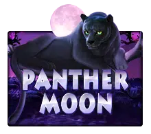 SlotXO Panther Moon