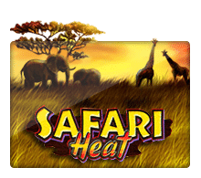 Safari Heat