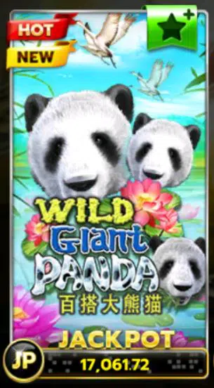 SLOTXO ดาวน์โหลด Wild Giant Panda Free : รับโปรวันเกิดx500